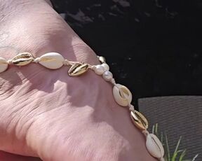 Do you love shells too ?